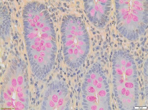 Eisenhämatoxylin-Färbekit nach Weigert, Teil&nbsp;B Part B