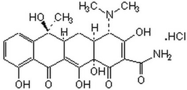 Tetracyclin, Hydrochlorid, CAS-Nr. 64-75-5, Calbiochem CAS 64-17-5 is a broad-based antibiotic agent that blocks protein synthesis by inhibiting binding of aminoacyl tRNA to the A-site of ribosomes. Induces cold shock-response and enhances P450 expression in bacteria.