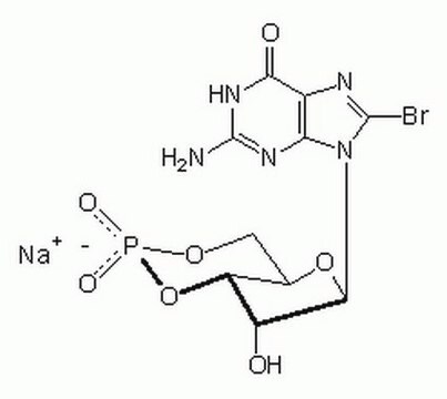 Adenosin-3&#8242;,5&#8242;-zyklisches Monophosphat, 8-Brom-, Natriumsalz Cell-permeable cGMP analog that is more resistant to phosphodiesterases than cGMP.