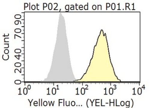 Anti-CD46 Antibody, clone 8A9.1 clone 8A9.1, from mouse