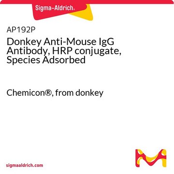 ロバ抗マウスIgG抗体、HRP結合体、動物種吸着処理済み Chemicon&#174;, from donkey