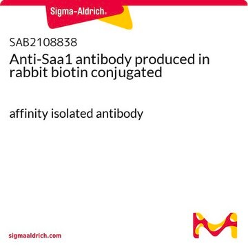 Anti-Saa1 antibody produced in rabbit biotin conjugated affinity isolated antibody