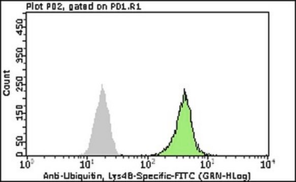 Milli-Mark&#174; Anti-Ubiquitin Antibody, Lys48-Specific-FITC, clone Apu2 clone Apu2, Milli-Mark&#174;, from rabbit