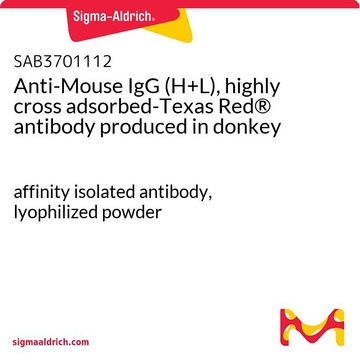 Anti-Mouse IgG (H+L), highly cross adsorbed-Texas Red&#174; antibody produced in donkey affinity isolated antibody, lyophilized powder