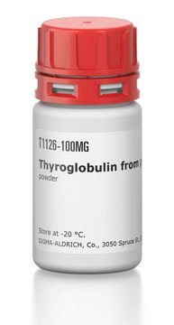 Thyroglobulin aus Schweineschilddrüse powder