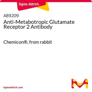 Anti-Metabotropic Glutamate Receptor 2 Antibody Chemicon&#174;, from rabbit