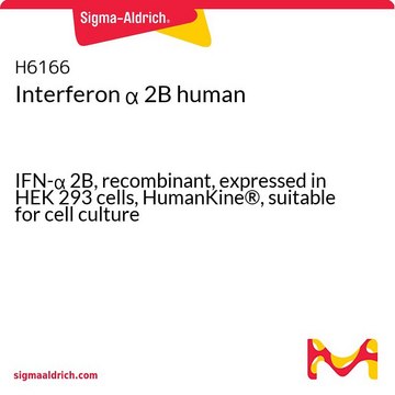 Interferon &#945; 2B human IFN-&#945; 2B, recombinant, expressed in HEK 293 cells, HumanKine&#174;, suitable for cell culture