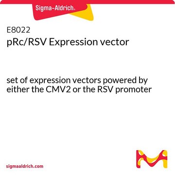 pRc/RSV Expression vector set of expression vectors powered by either the CMV2 or the RSV promoter