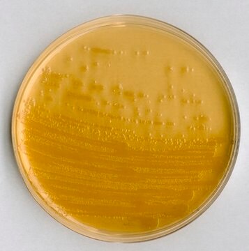 ECD agar for microbiology Fluorocult&#174;