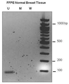 Kit per la modificazione del DNA CpGenome Direct Prep Bisulfite (50 reazioni) The CpGenome Direct Prep Bisulfite Modification Kit allows bisulfite conversion directly from a variety of starting materials, including cultured cells, blood, fresh tissue &amp; fixed tissue samples.