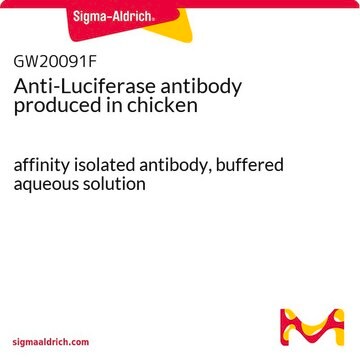 抗ルシフェラーゼ抗体 ニワトリ宿主抗体 affinity isolated antibody, buffered aqueous solution