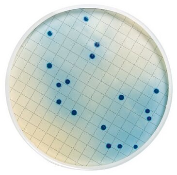 Caldo m-FC (deshidratado) sin ácido rosálico For testing waste and effluent waters for fecal coliforms. To be used with rosolic acid (MB00 000 0R).