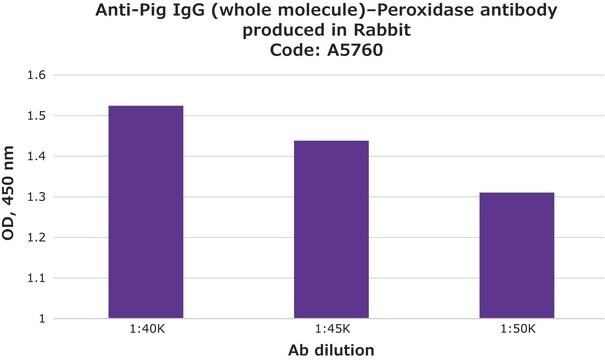 兔抗猪IgG（全分子）抗体，偶联过氧物酶 兔抗 affinity isolated antibody, buffered aqueous solution