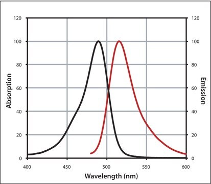 Monoclonal Anti-Biotin IgG, CF&#8482; 488A antibody produced in mouse ~2&#160;mg/mL, clone 3D6.6, purified immunoglobulin