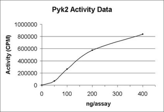 Białko Pyk2, aktywne, 10 µg Active, N-Terminal His6-tagged, recombinant, full-length, human Pyk2. For use in Kinase Assays.