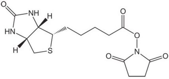 Biotyna-OSu Novabiochem&#174;