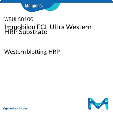 Substrato della perossidasi di rafano (HRP) Immobilon ECL Ultra, per Western blotting Western blotting, HRP