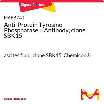 Anti-Protein Tyrosine Phosphatase &#181; Antibody, clone SBK15 ascites fluid, clone SBK15, Chemicon&#174;