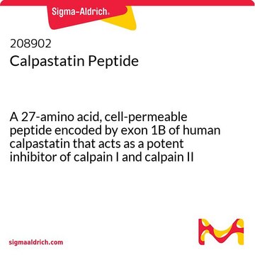 Calpastatin Peptide A 27-amino acid, cell-permeable peptide encoded by exon 1B of human calpastatin that acts as a potent inhibitor of calpain I and calpain II (IC&#8325;&#8320; = 20 nM for purified rabbit calpain II).