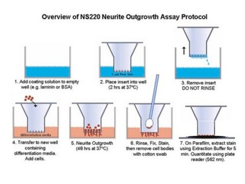 神経突起伸長アッセイキット（3 &#181;m） The NS220 Neurite Outgrowth Assay Kit (3 &#181;m) is based on the use of Millicell cell culture inserts (chambers) containing a permeable membrane with 3-&#956;m pores at the base.