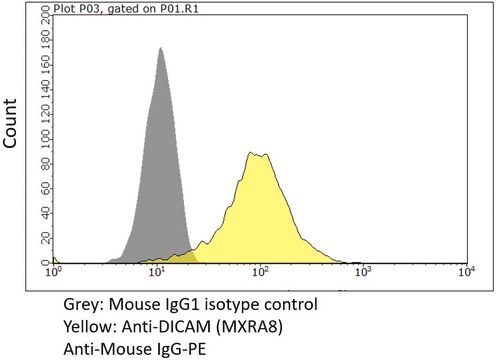 Anti-MXRA8 Antibody, clone 9E9