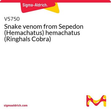 Snake venom from Sepedon (Hemachatus) hemachatus (Ringhals Cobra)