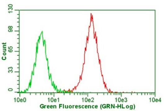 Anticorps anti-intégrine&nbsp;&#945;V&#946;5, clone&nbsp;P1F6 clone P1F6, Chemicon&#174;, from mouse