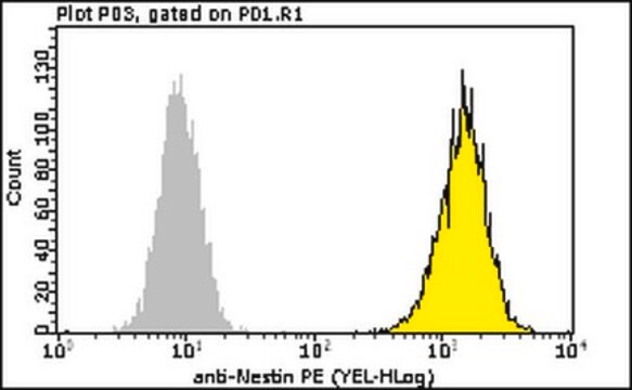 Milli-Mark&#174; Anti-Nestin-PE Antibody, clone 10C2 clone 10C2, Milli-Mark&#174;, from mouse