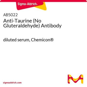 Anti-Taurin (Kein Glutaraldehyd)-Antikörper diluted serum, Chemicon&#174;