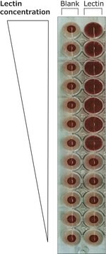 Lectine de Phaseolus vulgaris (haricot rouge) Erythroagglutinin PHA-E