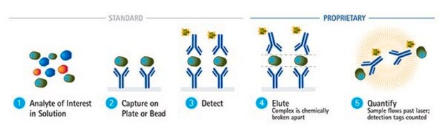 Zestaw do wysokoczułego testu immunologicznego &#174; na ludzką całkowitą α-synukleinę Uses 100 &#181;L per well of 1:200 diluted serum or plasma samples, or 1:10 diluted cerebrospinal fluid (CSF) samples.