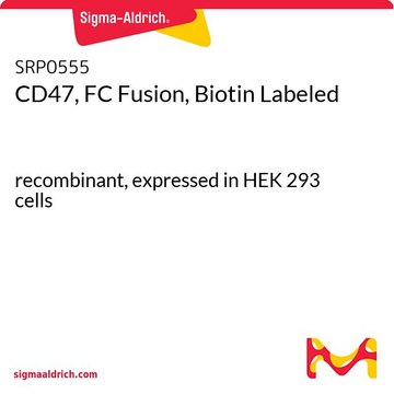 CD47, FC Fusion, Biotin Labeled recombinant, expressed in HEK 293 cells