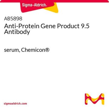 Anti-Proteingenprodukt-9.5-Antikörper serum, Chemicon&#174;