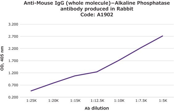 抗マウスIgG (全分子)&#8722;アルカリフォスファターゼ ウサギ宿主抗体 affinity isolated antibody, buffered aqueous glycerol solution