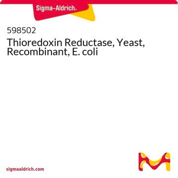 Thioredoxin-Reduktase, Hefe, rekombinant, E. coli