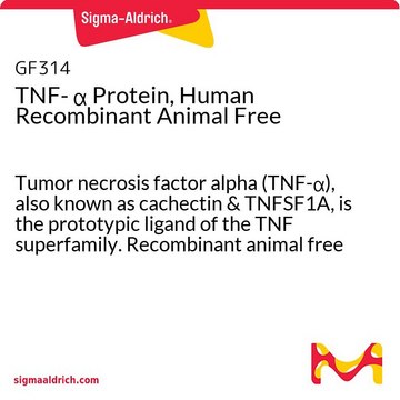 TNF-&#945;, proteina ricombinante umana, esente da componenti di origine animale Tumor necrosis factor alpha (TNF-&#945;), also known as cachectin &amp; TNFSF1A, is the prototypic ligand of the TNF superfamily. Recombinant animal free human TNF-&#945; is manufactured using all non-animal reagents.