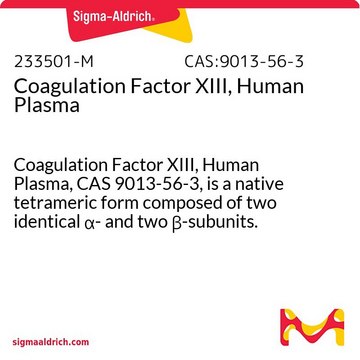 Gerinnungsfaktor XIII, Humanplasma Coagulation Factor XIII, Human Plasma, CAS 9013-56-3, is a native tetrameric form composed of two identical &#945;- and two &#946;-subunits. Thrombin converts the &#945;2&#946;2 tetramer to a modified &#945;2&#697;&#946;2 tetramer.