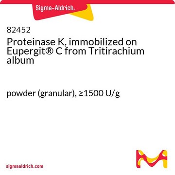 Proteinase&#160;K, immobilisiert auf Eupergit&#174;&#160;C aus Tritirachium album powder (granular), &#8805;1500&#160;U/g