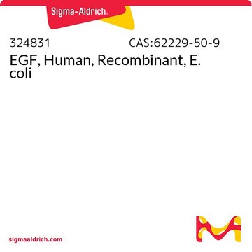 EGF, menschlich, rekombinant, E. coli