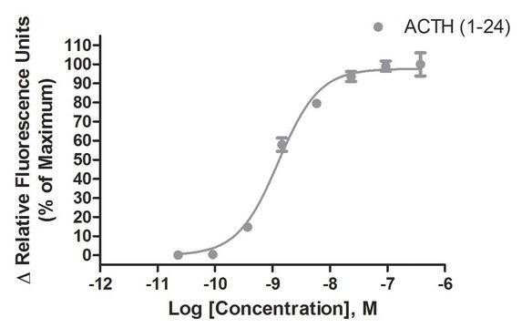 Ready-to-Assay MC2 Melanocortin Receptor Frozen Cells Human MC2 GPCR frozen cells for Calcium Flux FLIPR Assays.