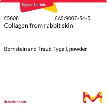 Kollagen aus Kaninchenhaut Bornstein and Traub Type I, powder