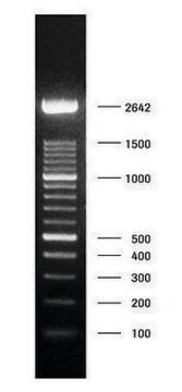 Marcador de peso molecular del ADN XIV (escalera de 100 pb) solution, pkg of 50&#160;&#956;g (in 200 &#956;l)