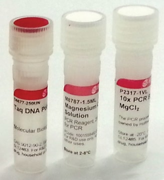 Taq DNAポリメラーゼ Thermus aquaticus由来 with 10× PCR reaction buffer without MgCl2