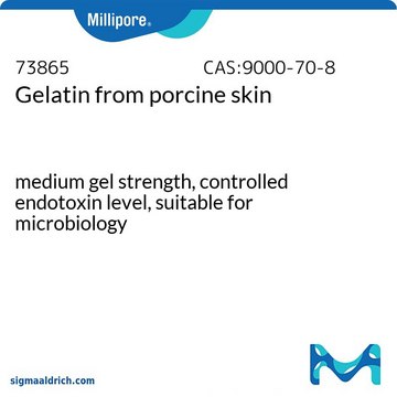 明胶 from Porcine skin, pkg of 500&#160;g, suitable for microbiology