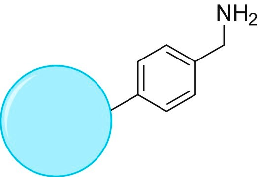 TurboBeads&#8482; Amine extent of labeling: &#8805;0.1&#160;mmol/g loading (-Ph-CH2-NH2)