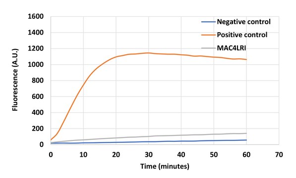 MetaPolyzyme with RNase inhibitor Suitable for Bacterial Transcriptomics