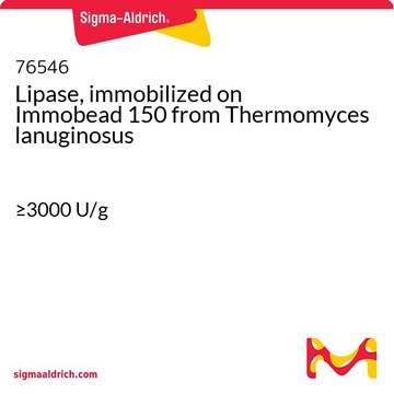 Lipase, immobilized on Immobead 150 Thermomyces lanuginosus由来 &#8805;3000&#160;U/g