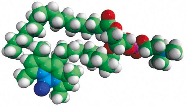 TopFluor&#8482; PC 1-palmitoyl-2-(dipyrrometheneboron difluoride)undecanoyl-sn-glycero-3-phosphocholine, chloroform