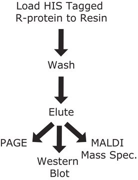 Gel d’affinité au nickel HIS-Select&#174; (1:1 suspension in a 20% ethanol solution)