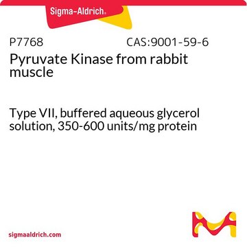 Pyruvat-Kinase aus Kaninchenmuskel Type VII, buffered aqueous glycerol solution, 350-600&#160;units/mg protein